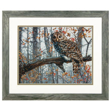 Dimensions Wise Owl Counted Cross Stitch Kit, 14" x 11"