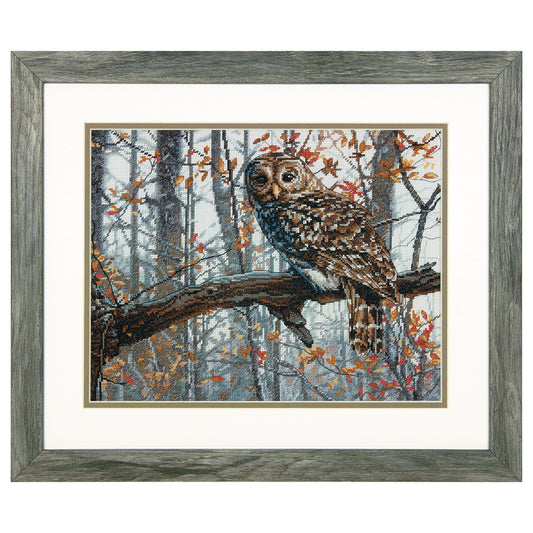 Dimensions Wise Owl Counted Cross Stitch Kit, 14" x 11"