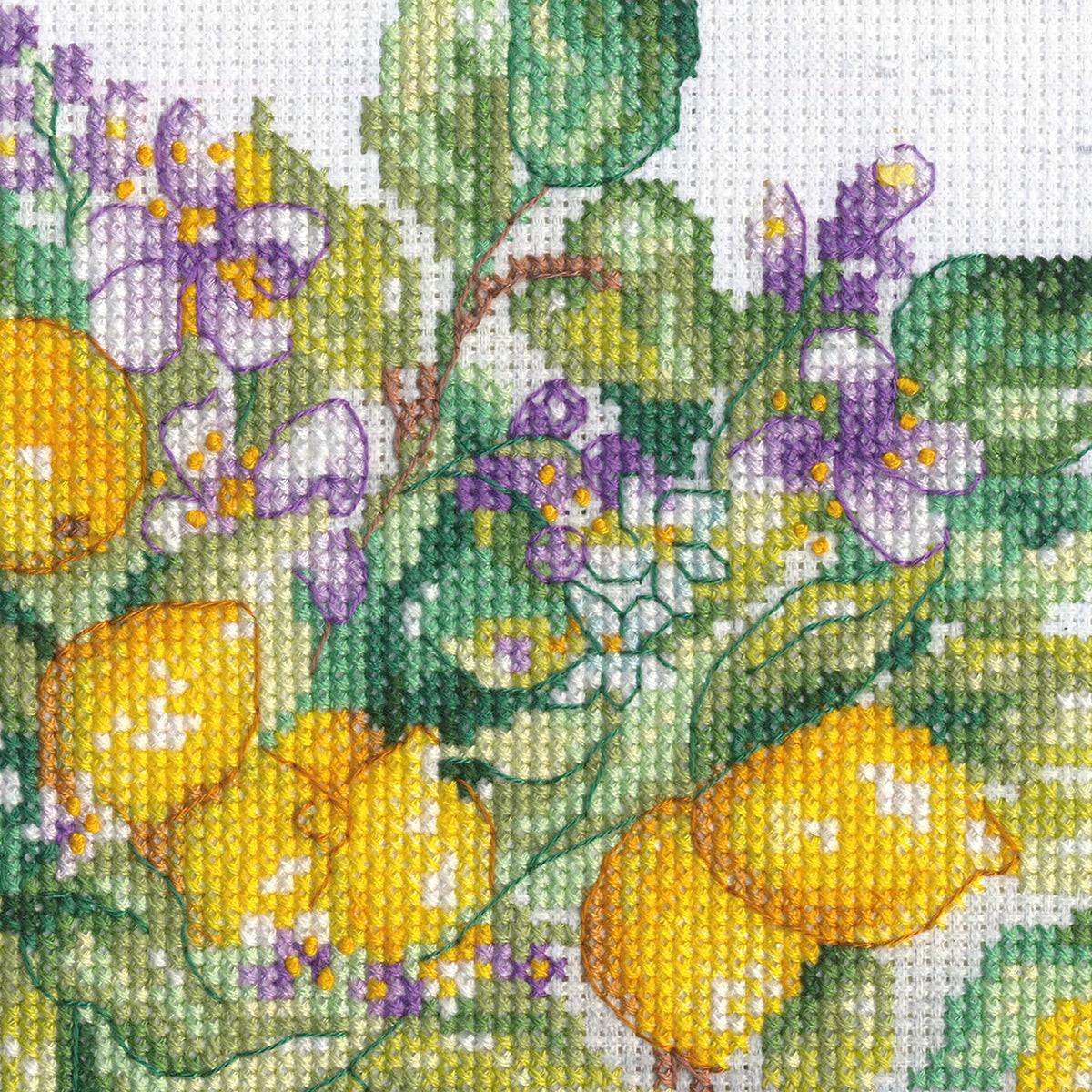 Dimensions Lemon Jar Counted Cross Stitch Kit, 14" x 10"