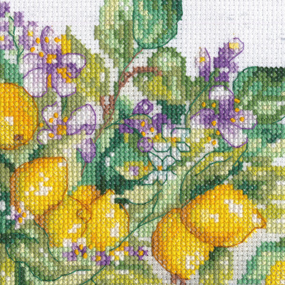 Dimensions Lemon Jar Counted Cross Stitch Kit, 14" x 10"