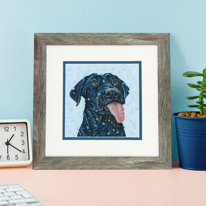 Dimensions Snow Dog Counted Cross Stitch Kit, 6" x 6"