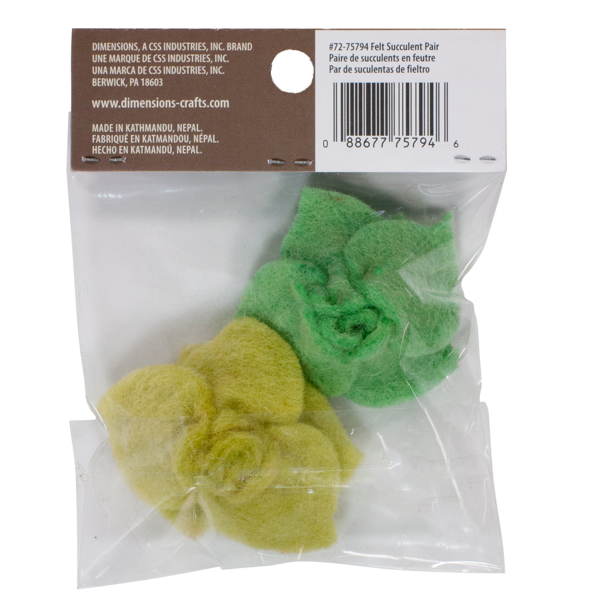 Dimensions Wool Felt Succulent Pair, Set of 2