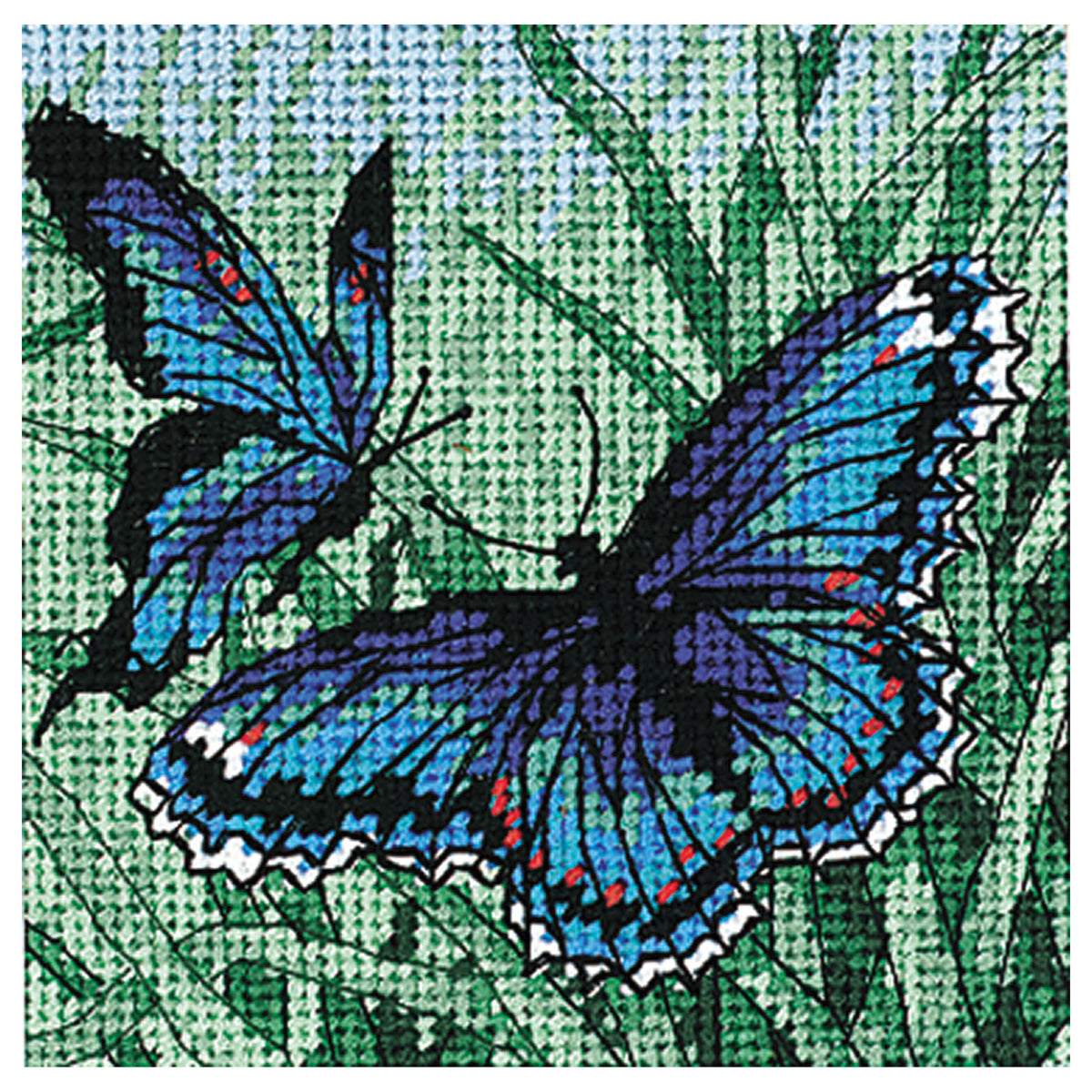 Dimensions Butterfly Duo Needlepoint Kit, 5" x 5"