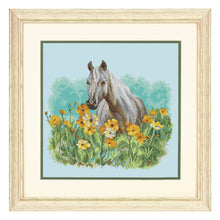 Dimensions Farm & Field Counted Cross Stitch Kit, 11" x 11"